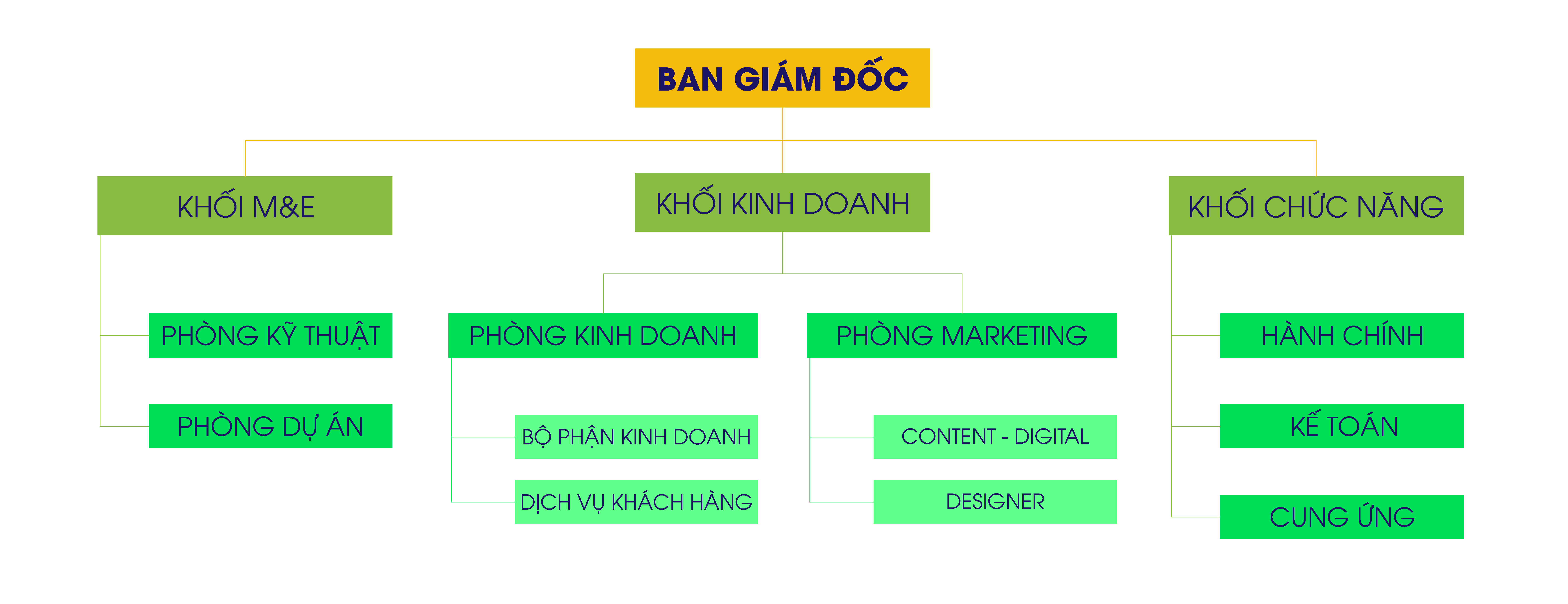 Cơ cấu tổ chức